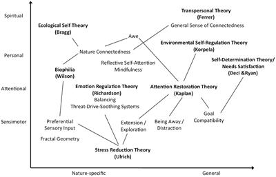 A Thematic Analysis of Multiple Pathways Between Nature Engagement Activities and Well-Being